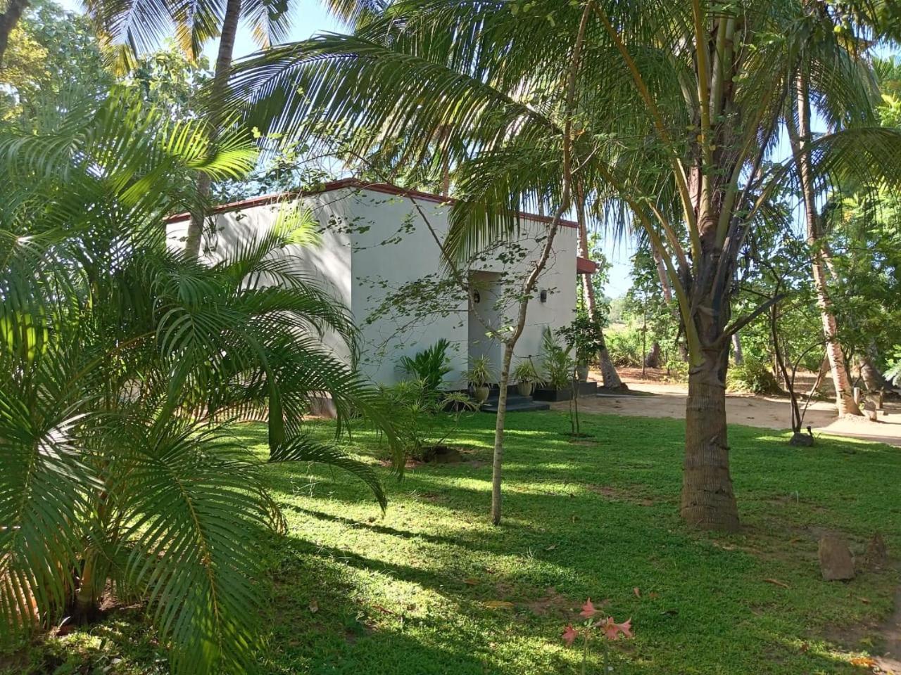 Kings Village Sigiriya Exterior photo