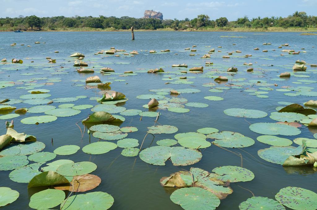 Kings Village Sigiriya Exterior photo